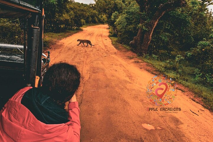 Yala National Park, Sri Lanka Tourists look through binoculars during a safari tour in the Yala Park. Yala is the second-largest national park in Sri Lanka. 